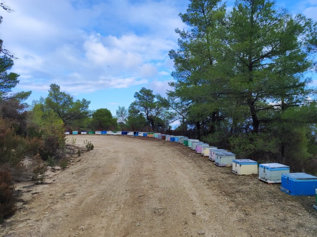 viber image 2026 02 22 20 44 50 312