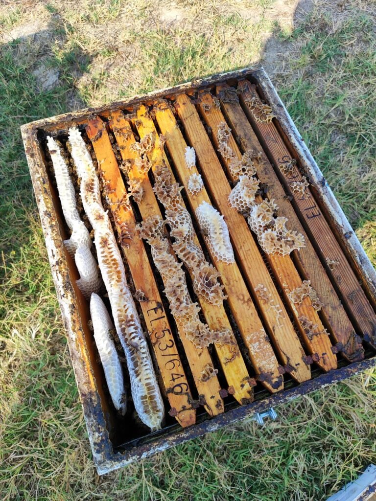 viber image 2026 02 22 20 49 35 156